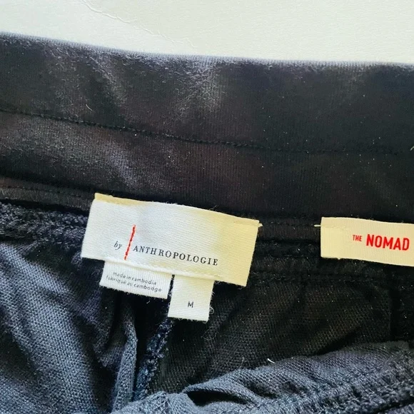 Anthropologie Charcoal Grey Joggers | the Nomad size medium NWT - Picture 3 of 9
